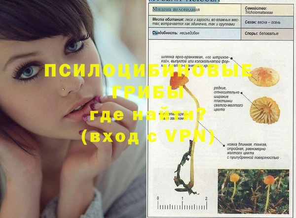 дурь Гусиноозёрск