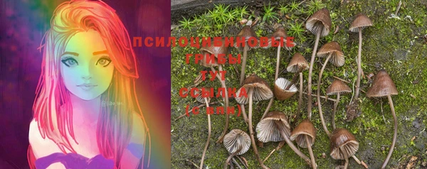 прущая мука Гусев
